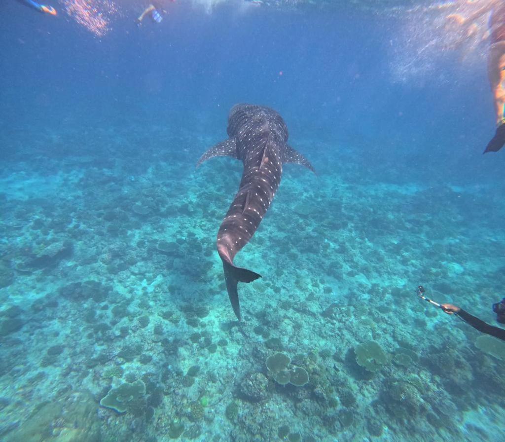 Raalhu Fonu Maldives Hotel Mahibadhoo Екстериор снимка